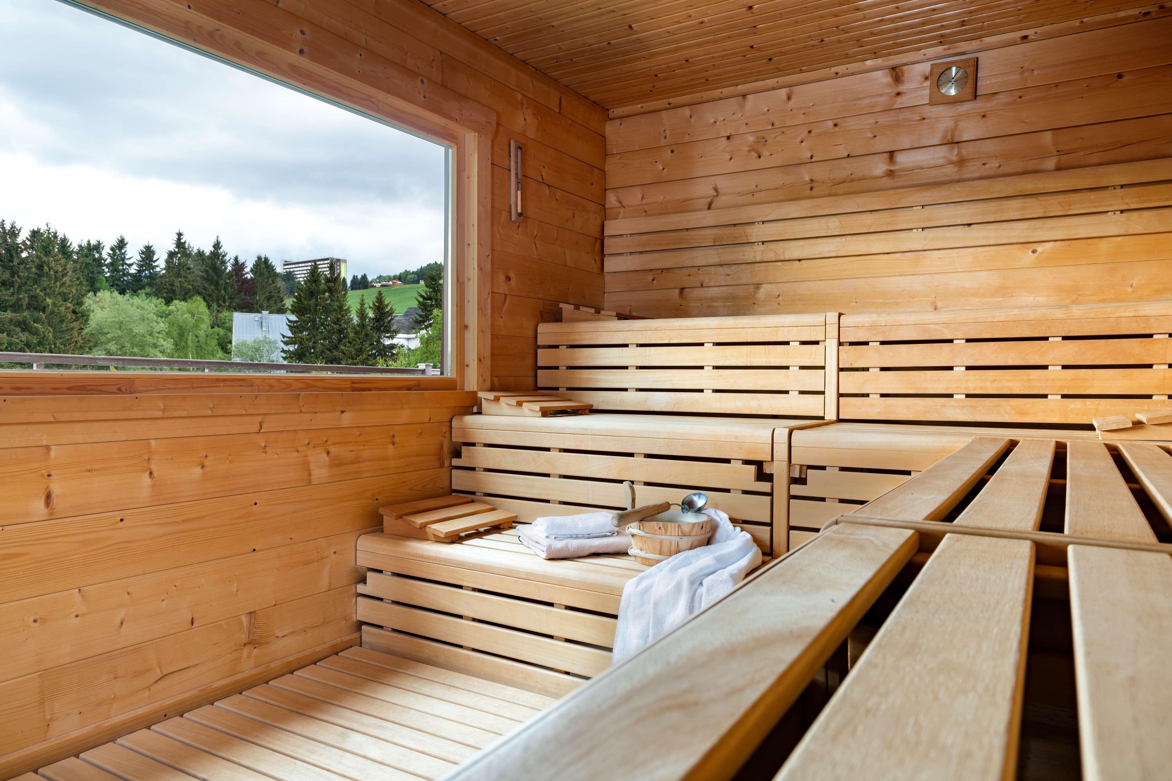Western Ahorn – Adults Only