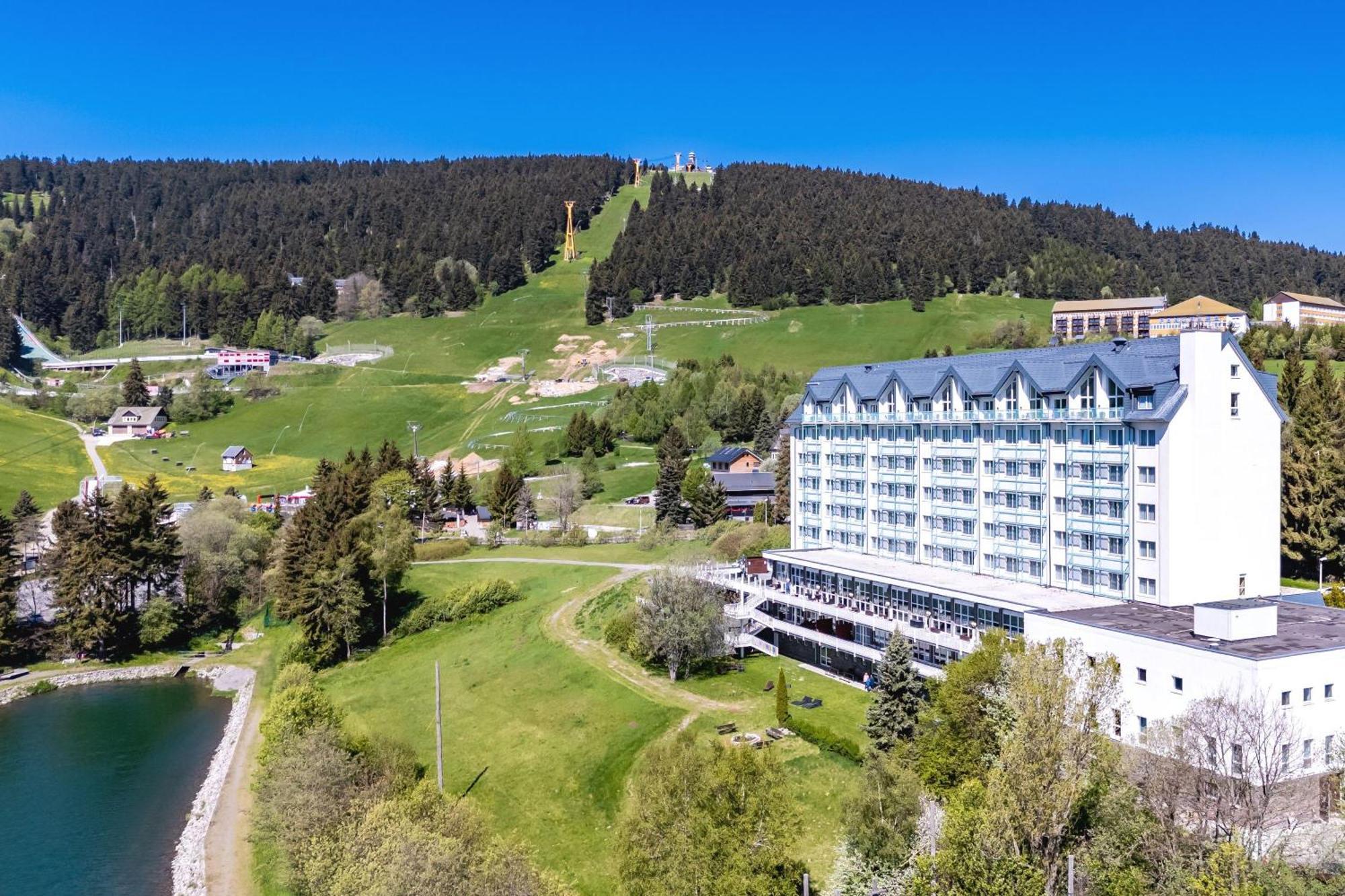 Western Ahorn – Adults Only