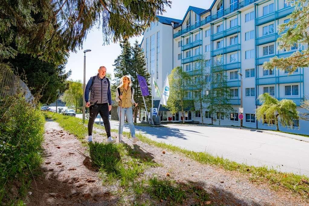 Western Ahorn – Adults Only Oberwiesenthal